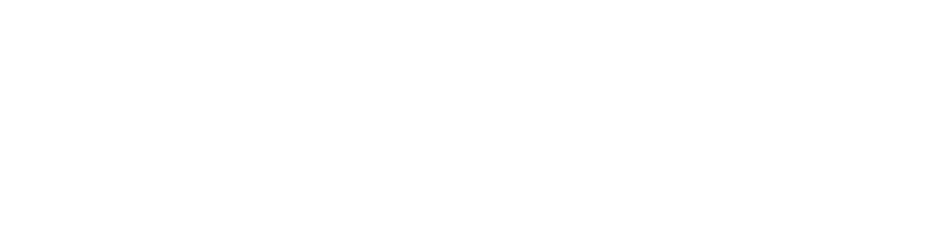 BMAW_Logo_weiss